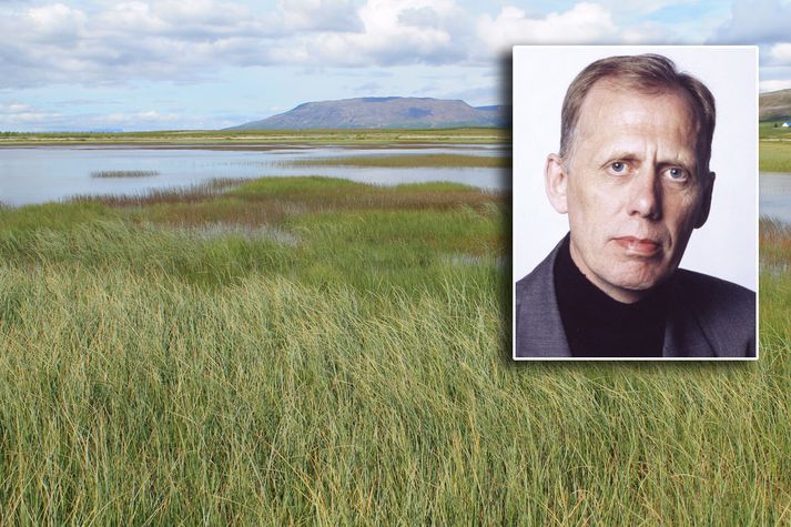 Björn B. Jónsson segir það frábært að landeigandi hafi bæði valið að endurheimta votlendi á jörð sinni og rækta skóg.