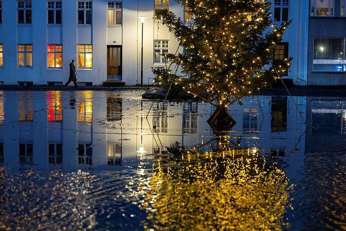 Desember var óvenjuhlýr í fyrra.