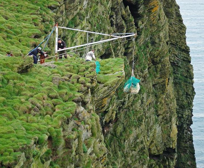 Fénu var slakað 65 metra niður í sókningsbátinn Lubbu.
mynd/óskar Pétur Friðriksson
