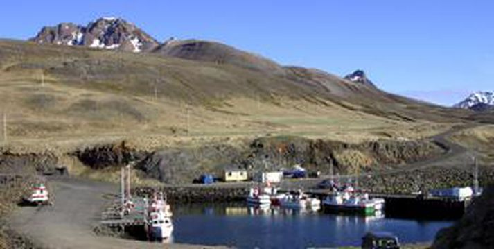 Frá Borgarfirði eystra.