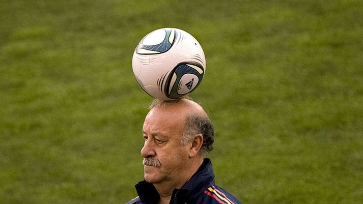 Vicente del Bosque hefur framlengt samningi sínum við spænska knattspyrnusambandið um tvö ár.