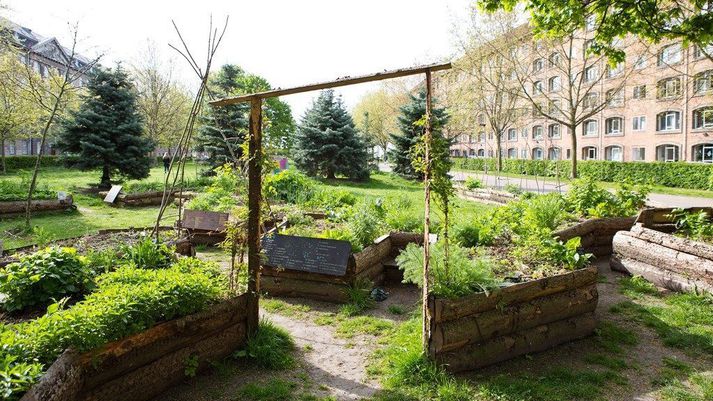 Frá Nørrebroparken í Kaupmannahöfn.