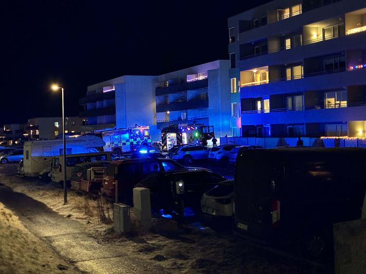 Fjöldi viðbragðsaðila var ræstur út.