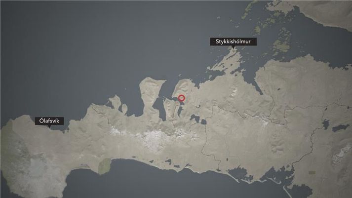 Slysið varð í Seljafirði.