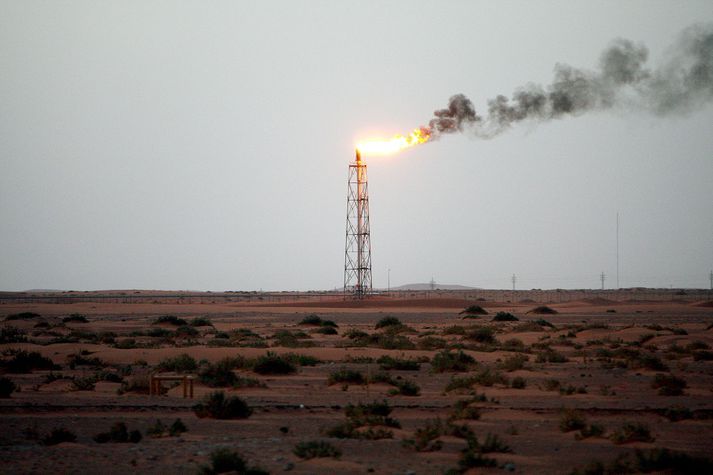 Yfirvöld Sádi-Arabíu vilja draga úr því hve ríkisreksturinn er háður olíuframleiðslu og fjölga stoðum efnahagskerfis landsins.