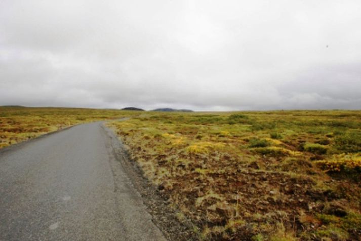 Lyngdalsheiði.