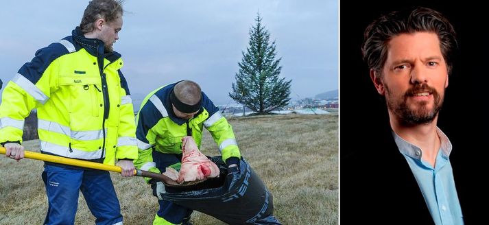 Borgarstarfsmenn þurftu að hreinsa upp svínshöfuð sem dreift var á fyrirhugaða byggingarlóð í Sogamýri í Reykjavík síðastliðinn vetur. 