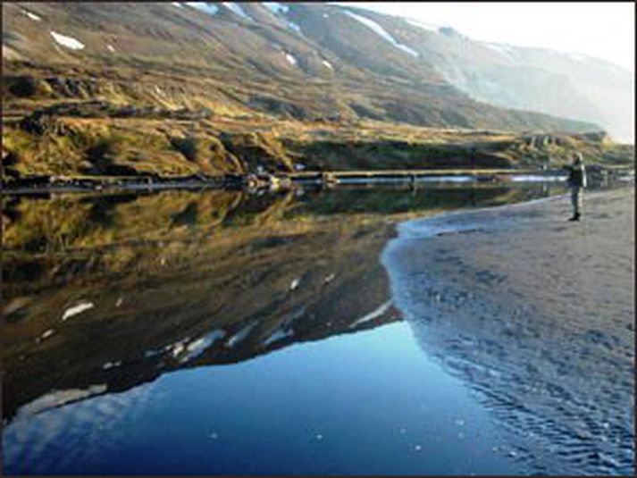 Fögruhlíðarós skartaði sínu fegursta um helgina.