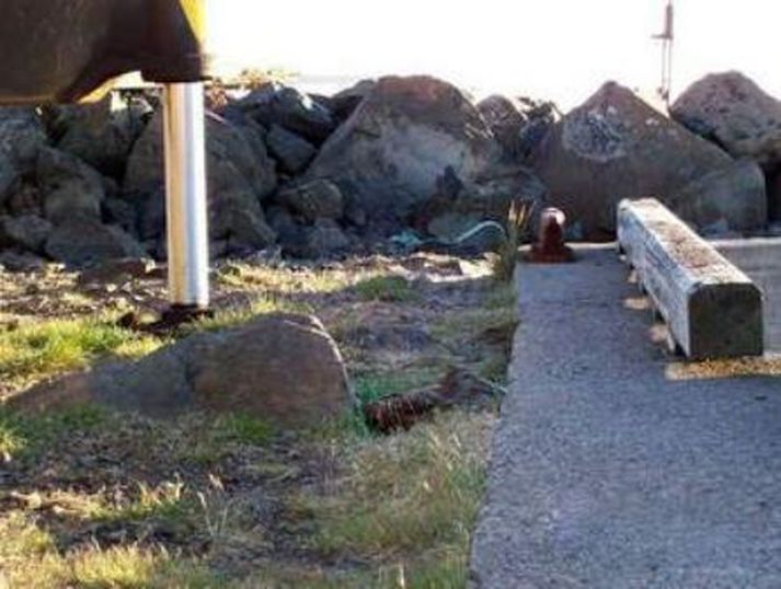 Liggur á eggjum Kollan hefur komið sér vel fyrir í skjóli loftpressu og krana.