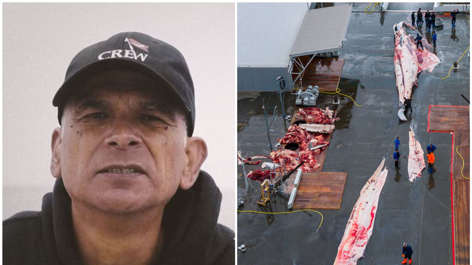 Þrjú til­vik til rann­sóknar: Bandero á ferðinni á hvalamiðum