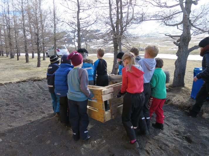 Stórutjarnaskóli er í Ljósavatnsskarði og er samrekinn leik- grunn- og tónlistarskóli með um 40 nemendur frá eins árs til 16 ára aldurs. Mikið er lagt upp úr fjölbreyttu útinámi í skólanum.