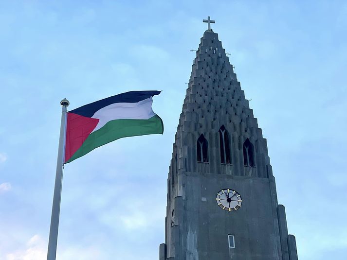 Svo virðist sem um gjörning sé að ræða; stuðingsyfirlýsingu við Palestínu vegna yfirstandandi átaka á Gasa.