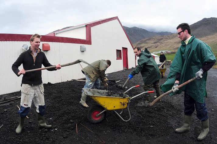 Hópur erlendra sjálfboðaliða tók til hendinni við bæinn Moldnúp undir Eyjafjöllum í vikunni, enda mikið magn af ösku sem þurfti að moka burtu af bæjarhlaðinu.Mynd/Meir Kfir