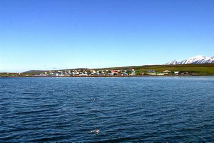 Hrísey í Eyjafirðinum