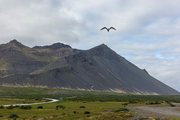 Gera má ráð fyrir snörpum hviðum undir Hafnarfjalli í kvöld.