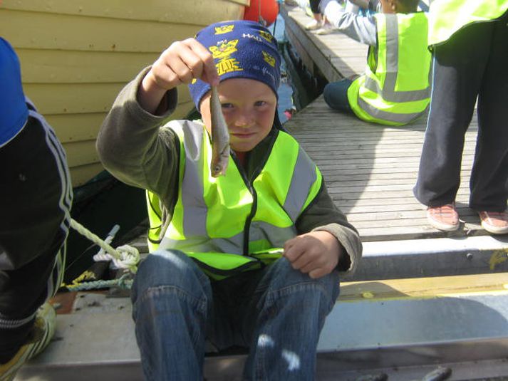 Þeir voru misstórir fiskarnir sem komu á land í Hafnarfirði.