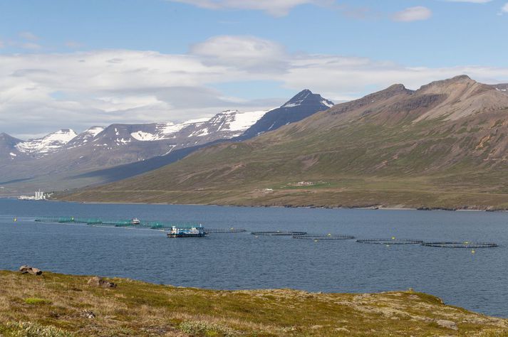 Fiskeldi við Fáskrúðsfjörð. Myndin tengist fréttinni ekki beint.