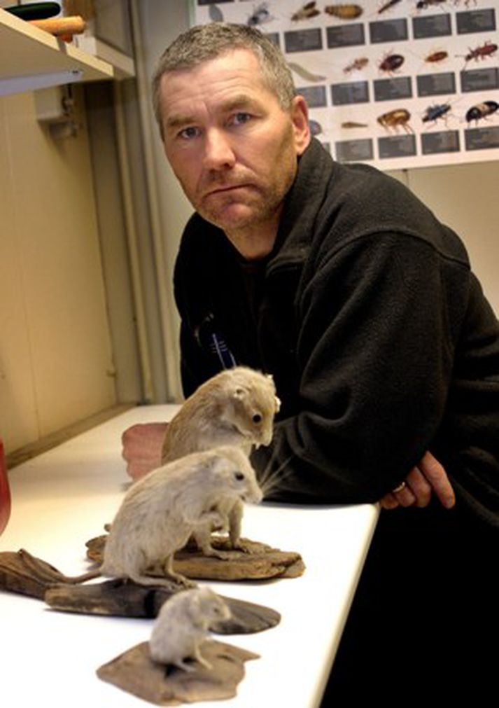 Guðmundur Björnsson rekstrarstjóri meindýravarna Reykjavíkurborgar.