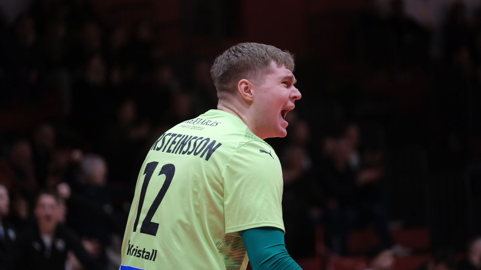 „Tel mig vera rosa­legan stemningskarl“