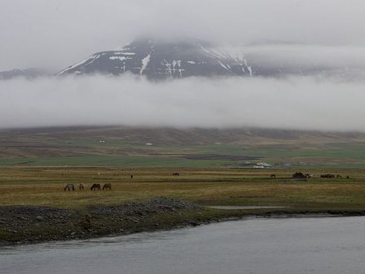 Frá Skagafirði. Byggðaráð lýsir yfir miklum áhyggjum.