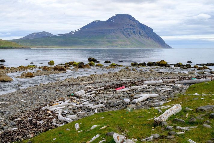 Gunnólfsvíkurfjall í Finnafirði á Norðausturlandi.