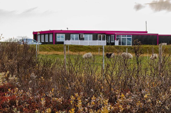 Eigandi söluskálans sagði þjófana hafa virst þaulvana.