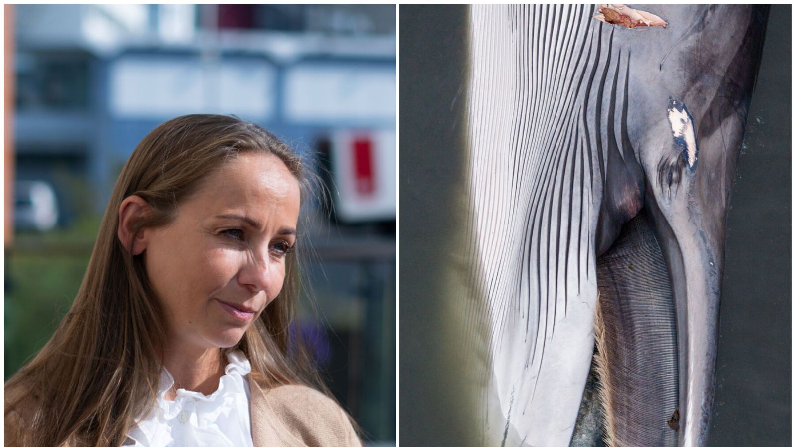 „Hefði mátt koma í veg fyrir enn frekari ótta“