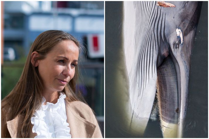 Heiðrún Lind Marteinsdóttir, framkvæmdastjóri Samtaka fyrirtækja í sjávarútvegi.