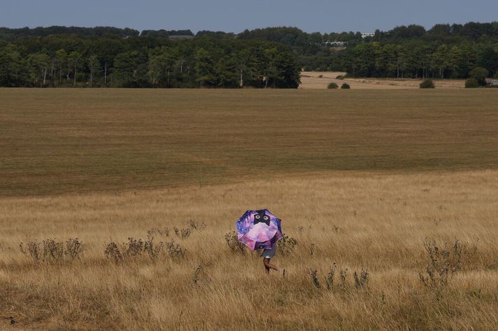 Sviðin tún nærri Stonehenge á Englandi. Heitt og þurrt hefur verið í Bretlandi frá því í vor og hver hitabylgjan fylgt annarri.