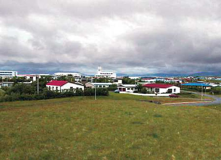 Höfn í Hornafirði.