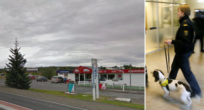 Buster hefur verið settur í skapgerðarmat. Hann er af springer spaniel kyni, eins og hundurinn á myndinni.