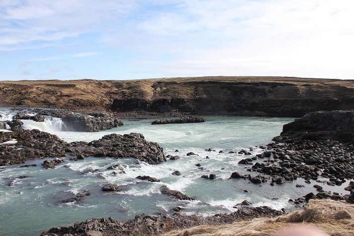 Sérstökum áhyggjum er lýst af Urriðafossvirkjun.