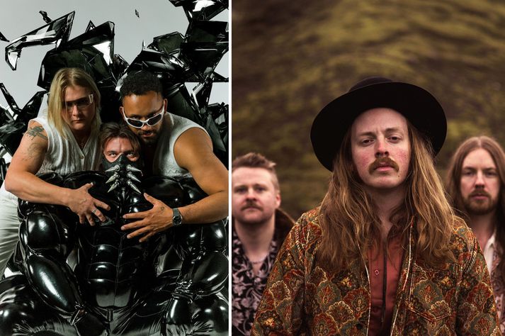 Hljómsveitirnar Hatari og Vintage Caravan hættu báðar óvænt við tónleikaferðalög sín.