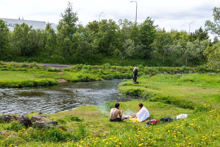 Ljósmyndari Vísis fangaði stemninguna í Elliðaárdal í gær þar sem fólk naut útivistar. 