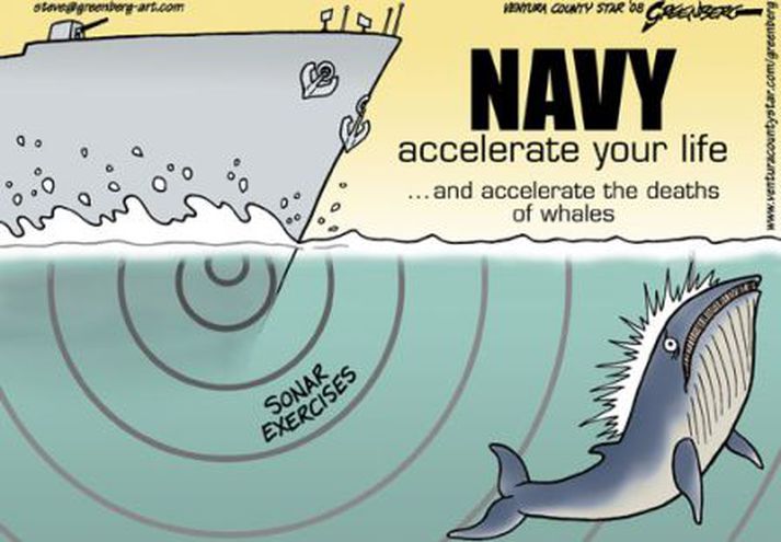 Áróðursplakat dýraverndarsinna gegn bergmálstækjum.