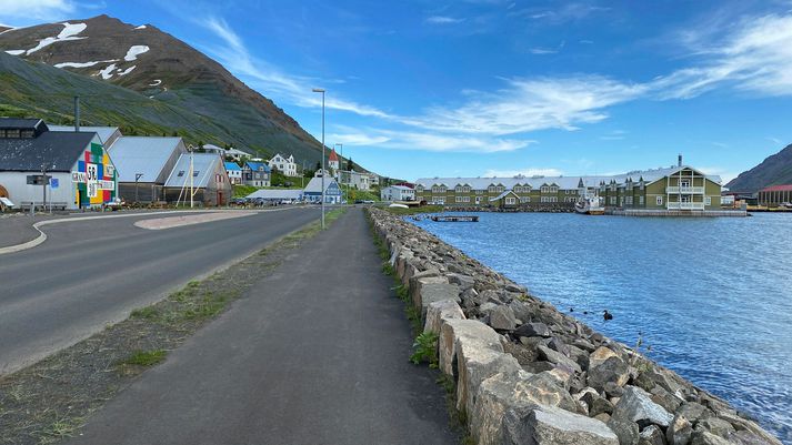 Í gærkvöldi hafði Veðurstofan mælt rúmlega 4.500 skjálfta frá því hrinan hófst þann 19. júní.