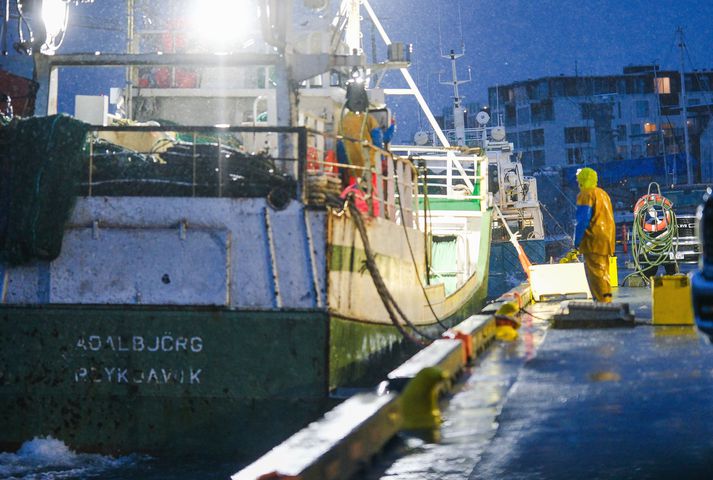 Veðrið stöðvaði ekki vinnu á höfninni. 