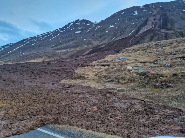 Skriðan er umfangsmikil. Unnið er að hreinsun.