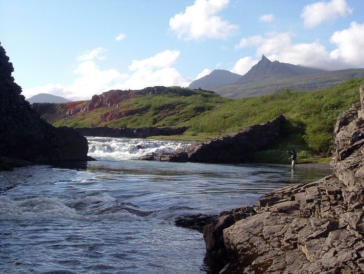 Stangveiði er byggð á ímynd hreinleika íslenskrar náttúru – regnbogasilungur ógnar þeirri ímynd.