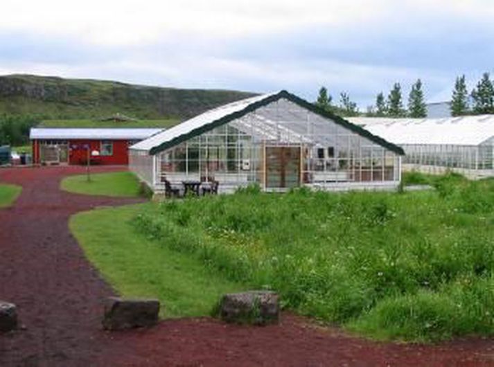Frá Sólheimum í Grímsnesi