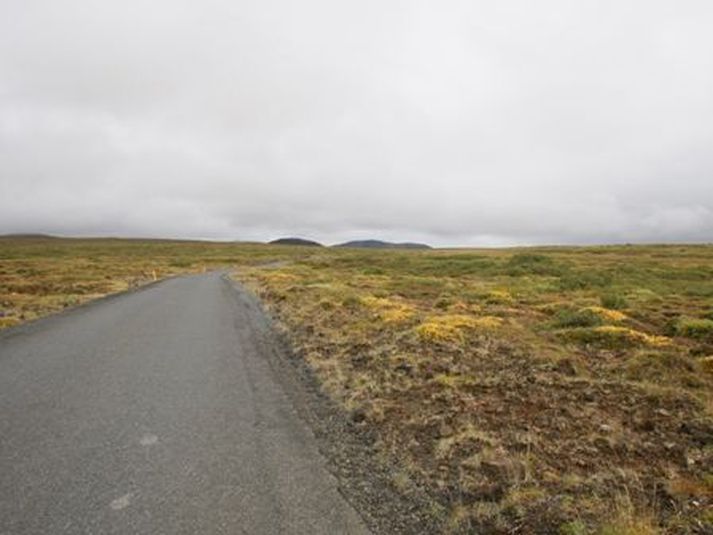 Gamla Lyngdalsheiðin.