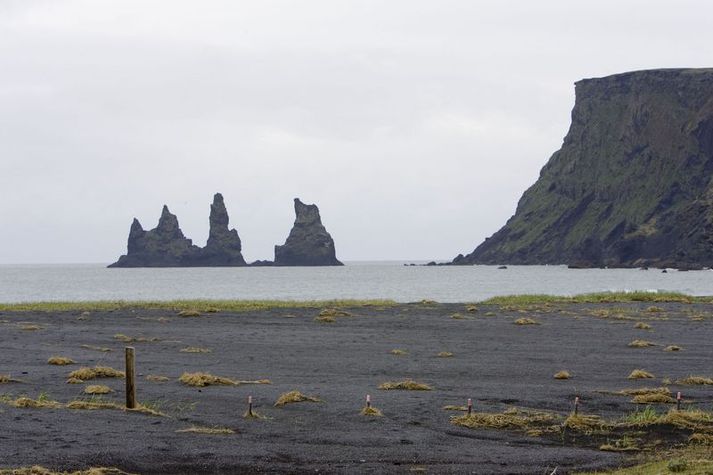 Reynisdrangar við Vík í Mýrdal.