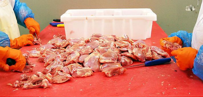 Verð á innfluttum kjúklingabringum gæti lækkað umtalsvert, til hagsbóta fyrir íslenska neytendur. 