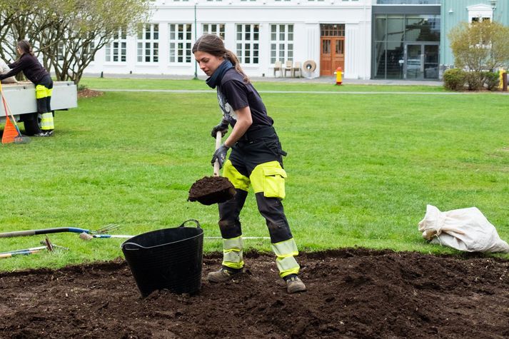 Borgarstarfsmenn að störfum á Austurvelli.