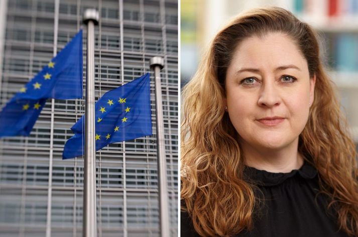 Dóra Sif Tynes starfaði lengi í Evrópudómi.