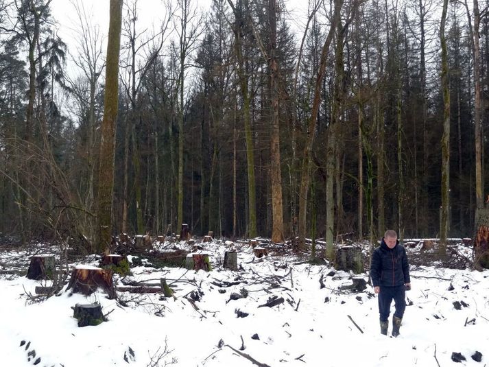 Þúsundir dýrategunda eiga búsvæði sitt í Bialowieza þar sem vistkerfið hefur verið svo gott sem óraskað í rúm 10 þúsund ár.