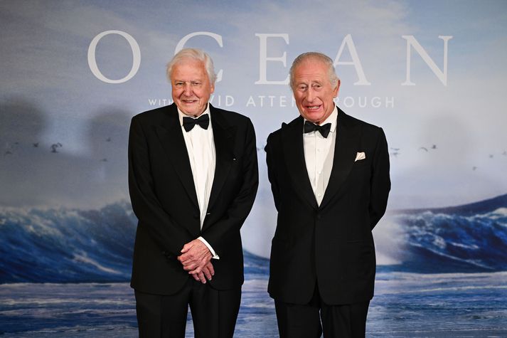 Ocean With David Attenborough var frumsýnd í London í gær og þar voru þeir eins og unglingar, David Attenborough að nálgast hundrað ára aldurinn og Karl kóngur.