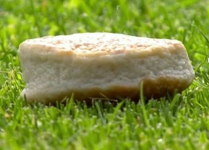 Fiskibollurnar voru út um allan völl á Lerkendal leikvanginum í gær.