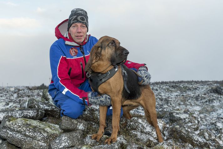 Þórir er eini launaði sporhundaþjálfarinn á landinu en hann er í vinnu hjá Björgunarsveit Hafnarfjarðar sem á Perlu. 