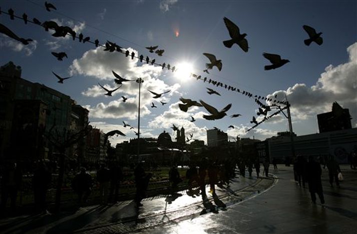 Dúfur við Taksim-torg í Istanbúl.